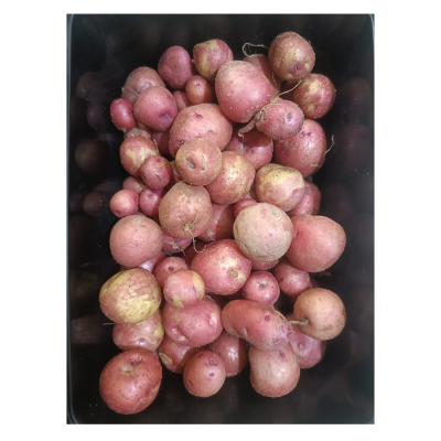 Small Red Potatoes (500 gm)
