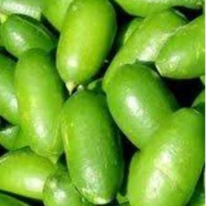 Assam Lemon (Kaji Nemu)