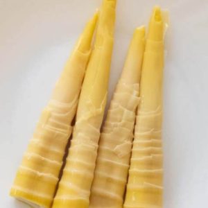 Fresh Bamboo Shoots