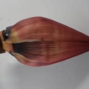 Banana Flower
