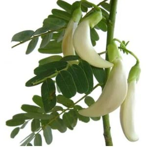 Bok Phool (Flower) (5 Pieces)