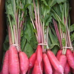 Red Radish/ Mooli (Small)